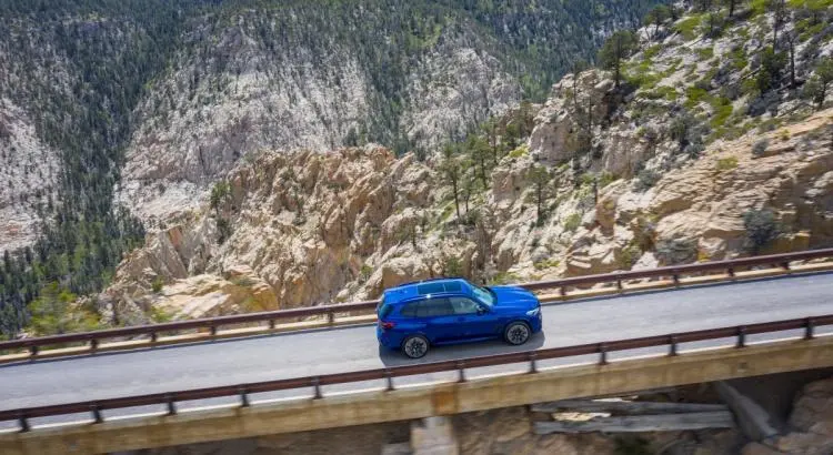 - BMW X5 et X6 M Competition (2020) : mâles dominants